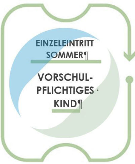 Bild von Einzeleintritt Sommer Vorschule